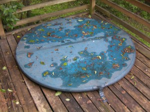 Before - Hot Tub