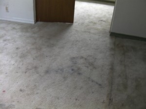 Before - Carpet in Kids' Room
